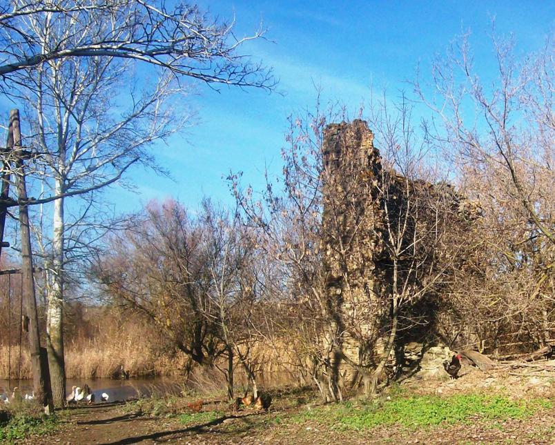 ФОТО: Развалины Гореловской мельницы (х.Трофимов) на речке Малая Россошка.