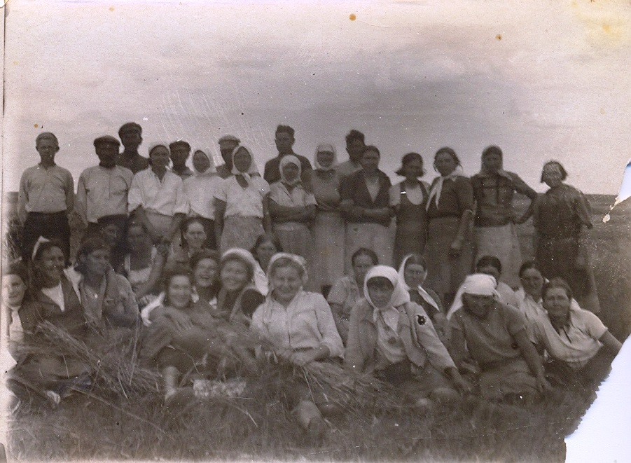 Фото: 1945 г, 23 июля, Константиновский лесхоз, уборка урожая.